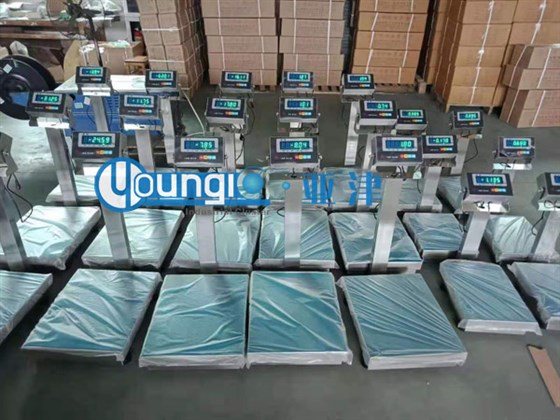 100kg電子秤_100kg電子臺秤