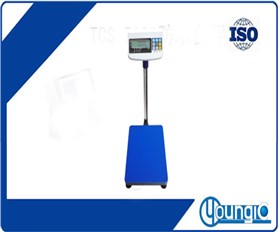 TCS-T410i計(jì)重電子臺秤