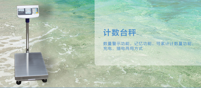 計(jì)數(shù)臺(tái)秤