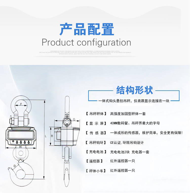 OCS-AAE大噸位直視電子吊秤產(chǎn)品配置