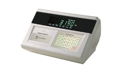 DS10P數(shù)字稱重顯示儀表（內(nèi)置打印）