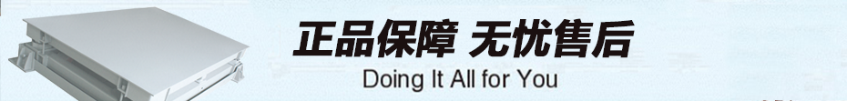 P720 系列緩沖地磅售后服務(wù)