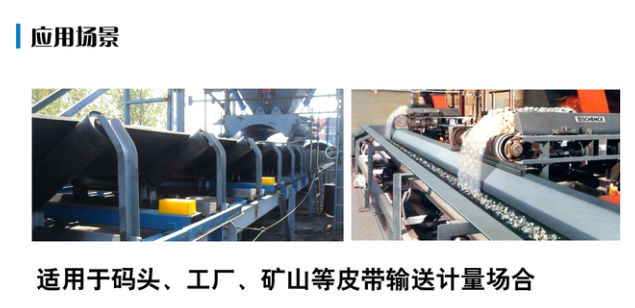電子皮帶秤適用場(chǎng)合