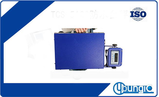 TCS-HBF 物流手提式藍(lán)牙臺(tái)秤