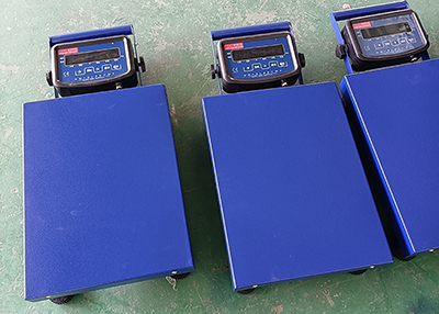 手提電子秤_手提式電子臺稱